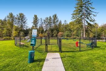 Dog Agility Park at 5100 Summit Apartments  - Photo Gallery 23