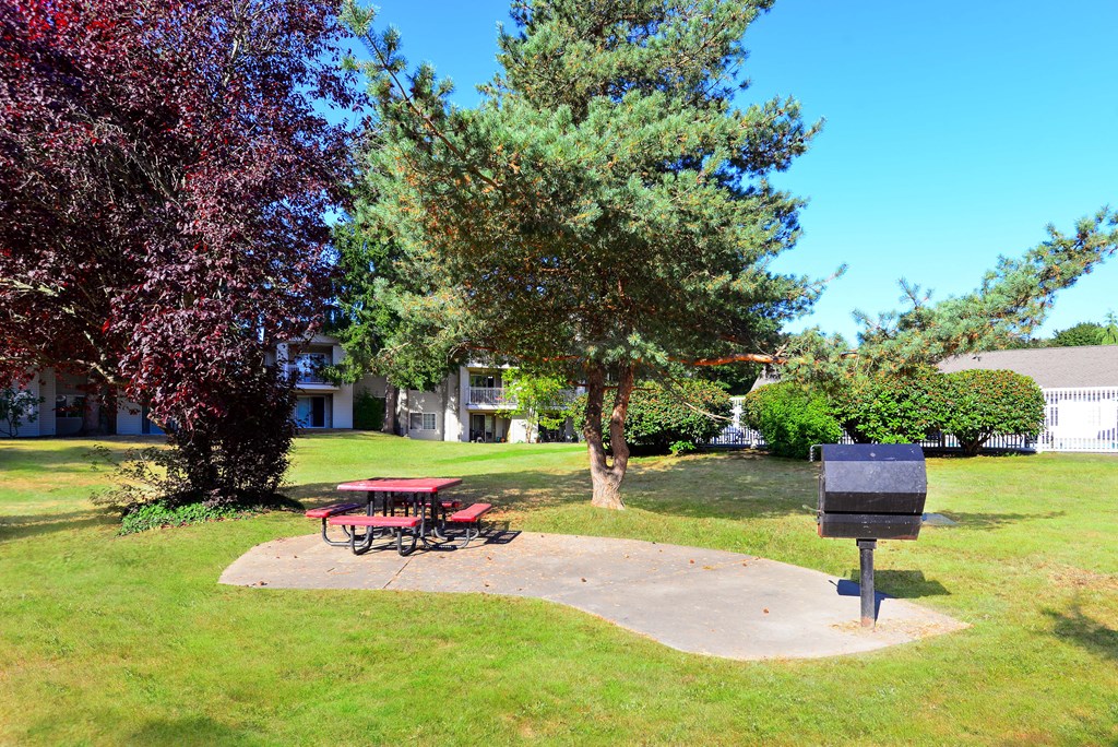 Resident BBQ & picnic area at Capitol City in Lacey, WA