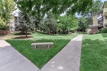 A bench sits in the middle of a grassy area  at The Buttes Apartments Loveland, CO