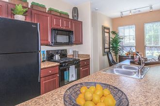 4201 E Craig Road 1-2 Beds Apartment for Rent - Photo Gallery 1