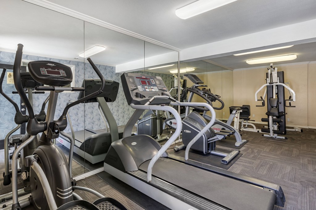 our gym is equipped with a variety of cardio equipment
