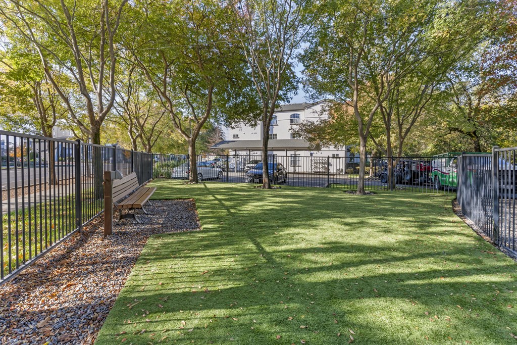 Our newly renovated dog park is now open, featuring fresh turf and plenty of space for your furry friends to play and socialize.