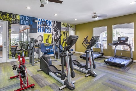 Experience our dynamic gym featuring state-of-the-art cardio equipment set against a vibrant mural backdrop