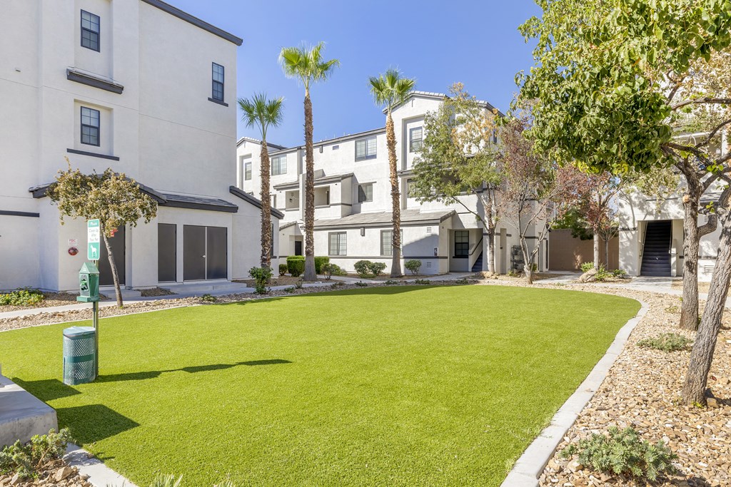 The Michael B is proud to unveil our newly renovated dog park, a perfect space for your furry friends to play and socialize.