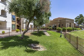 the preserve at ballantyne commons community yard and apartments at Trevi Apartment Homes, Chandler, Arizona