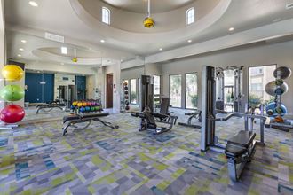 Community gym at Trevi Apartment Homes