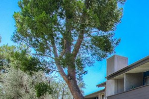 Resort Style Community Resort Style Community at Chatsworth Pointe Apartments, Canoga Park, California - Photo Gallery 3