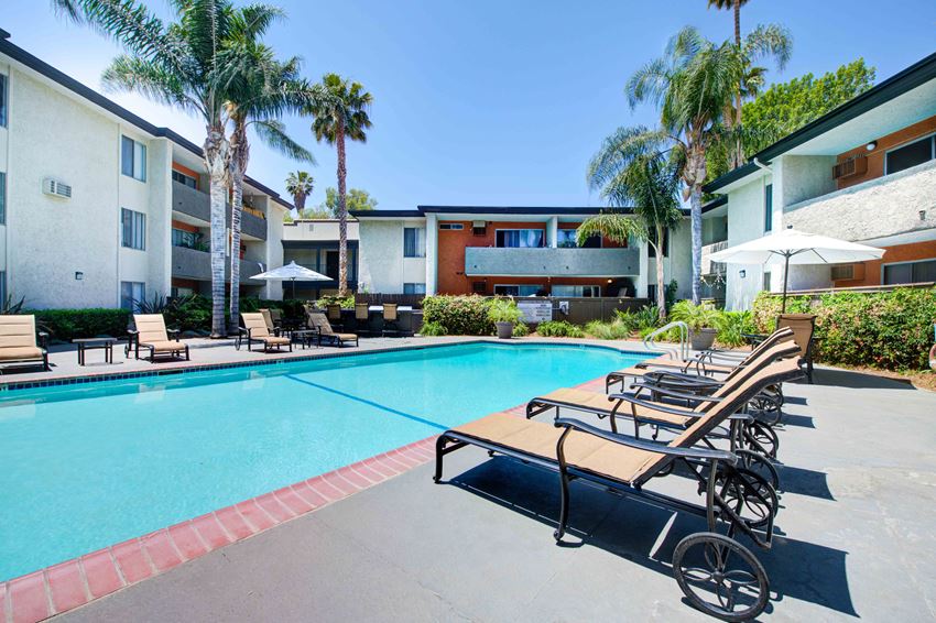 Resort Style Pool and Lounge at Cornerstone Apartment Homes Resort Style Pool and Lounge at Cornerstone Apartment Homes - Photo Gallery