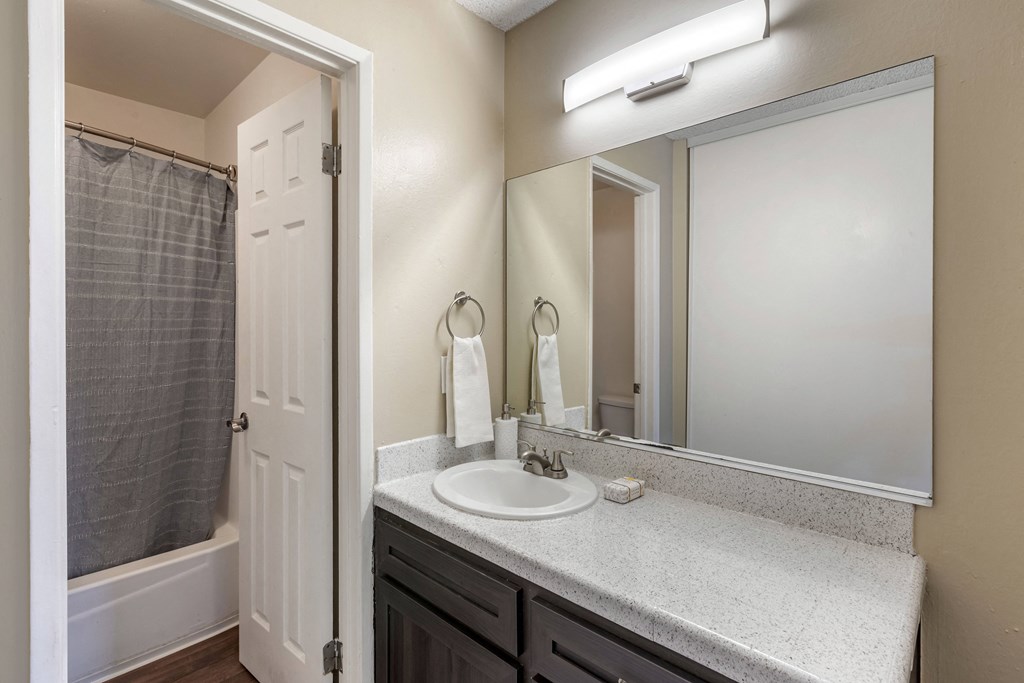 a bathroom with a sink and a mirror