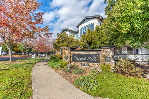 Harvest Park Apartment Homes is graced with luscious trees throughout the property