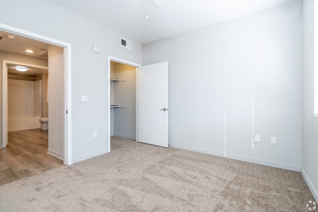 A room with a carpeted floor and a closet.