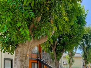 Running Trails Along The Community at Riverwalk Landing Apartment Homes, Riverside, California Running Trails Along The Community at Riverwalk Landing Apartment Homes, Riverside, California - Photo Gallery 3