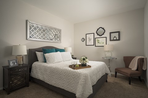 Large bedroom with large walk-in closets at Trevi Apartment Homes