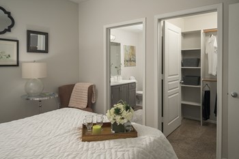 Large bedroom with large walk-in closets at Trevi Apartments Large bedroom with large walk-in closets at Trevi Apartments - Photo Gallery 6