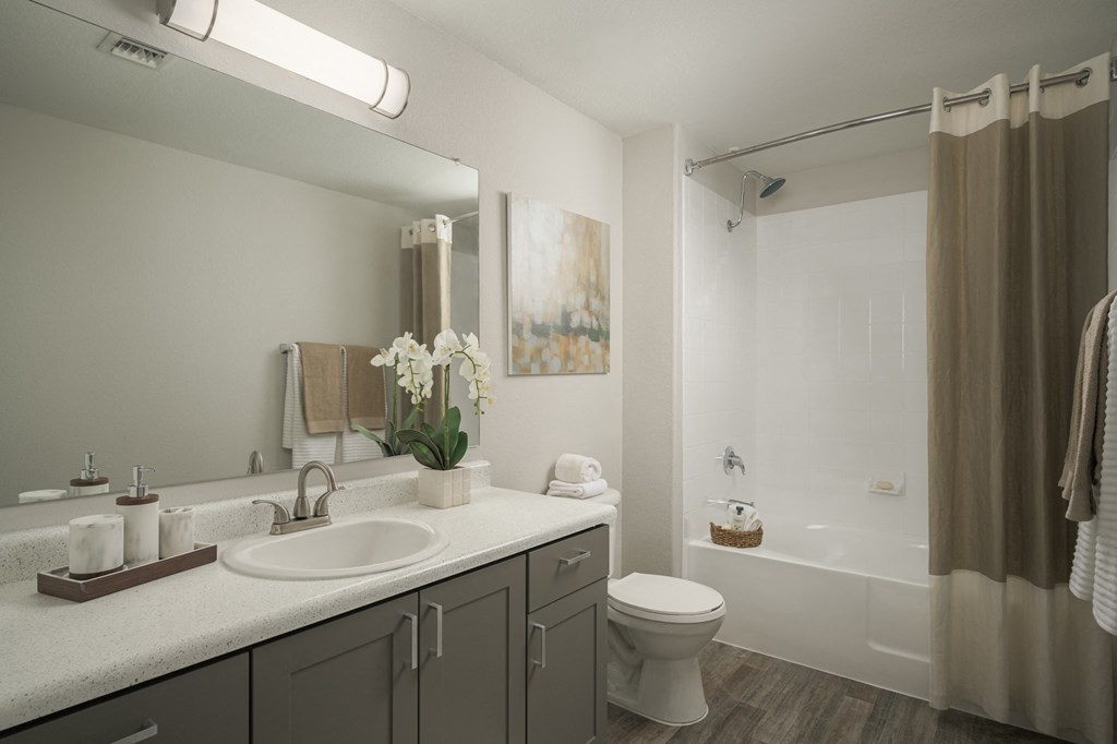 Elegant and modern bathrooms at Trevi Apartment Homes Elegant and modern bathrooms at Trevi Apartment Homes at Trevi Apartment Homes, Arizona