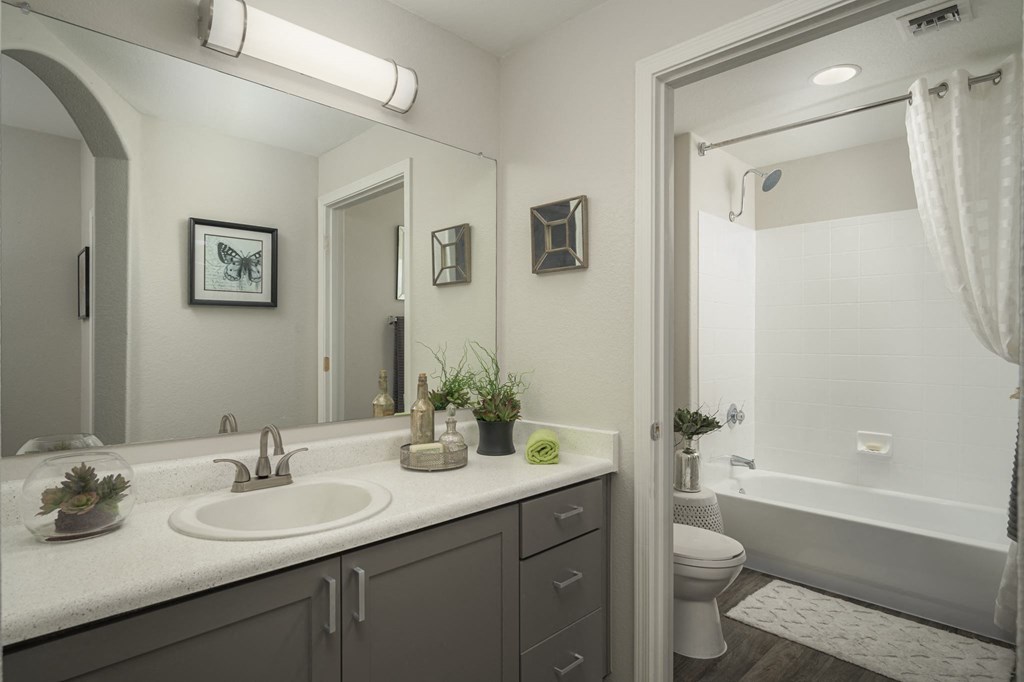 Elegant and modern bathrooms Elegant and modern bathrooms at Trevi Apartment Homes, Chandler, AZ