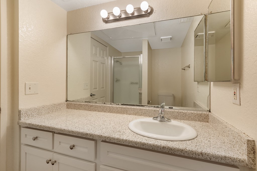 a bathroom with a sink and a mirror