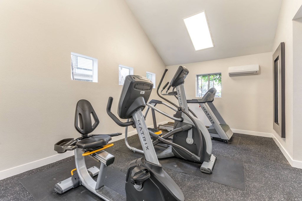the gym with cardio equipment at the preserve at greatstone