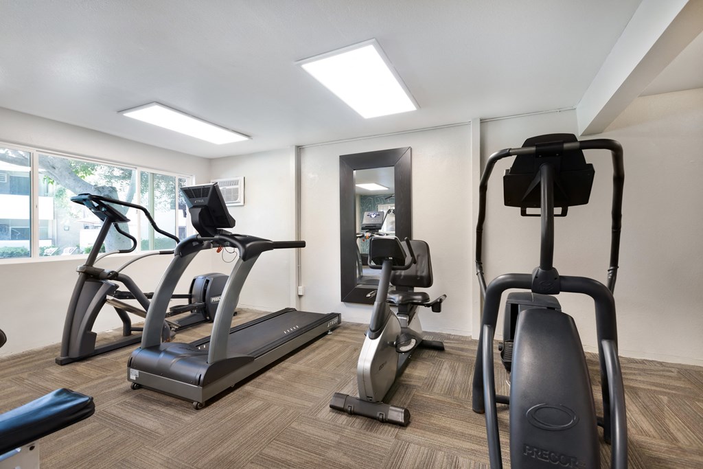 two treadmills and ellipticals in a gym with a window