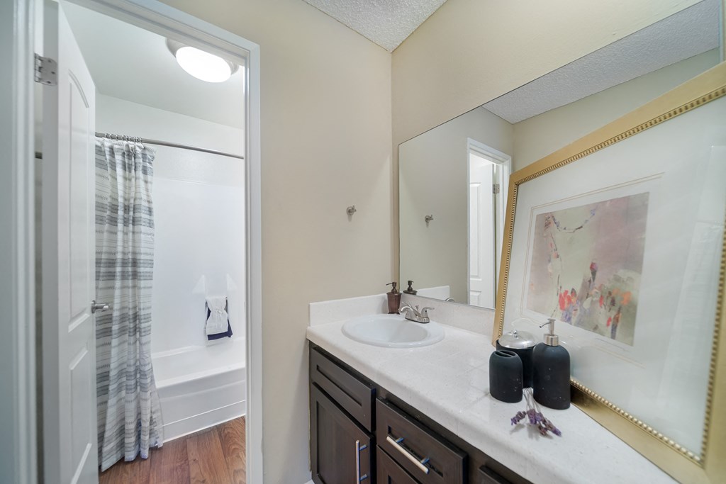 a bathroom with a sink and a shower and a mirror