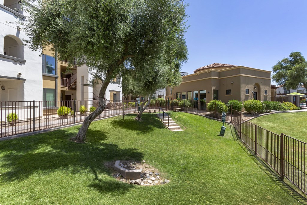 Dog park  at Trevi Apartment Homes, Arizona