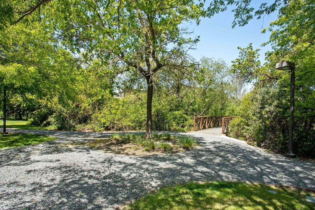 Dog park at Renaissance Apartment Homes in Santa Rosa, California