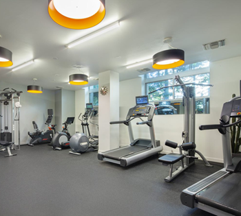 Cardio Machines In Gym at Wilshire Margot, Los Angeles, CA, 90024