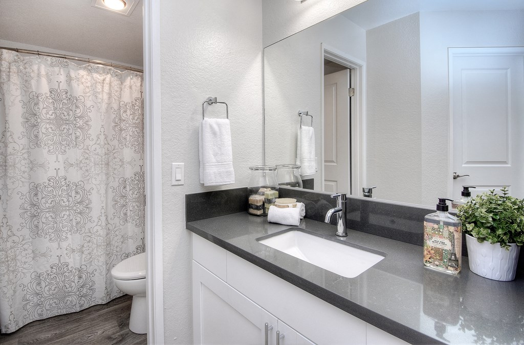 Bathroom Counter at La Serena, San Diego, CA