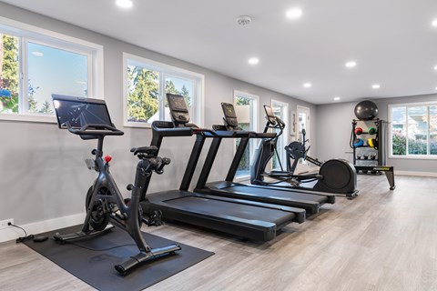 A home gym with treadmills, exercise bikes, and weights.