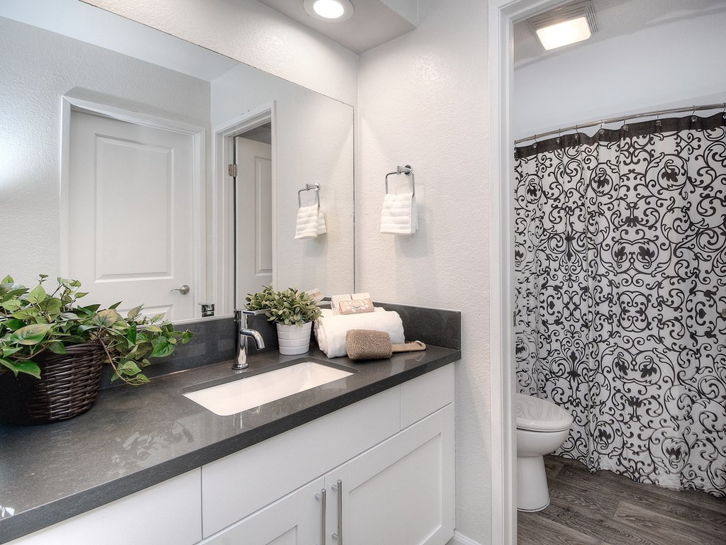 Bathroom Sink at La Serena, San Diego