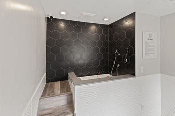 New Pet Wash and Dry Center