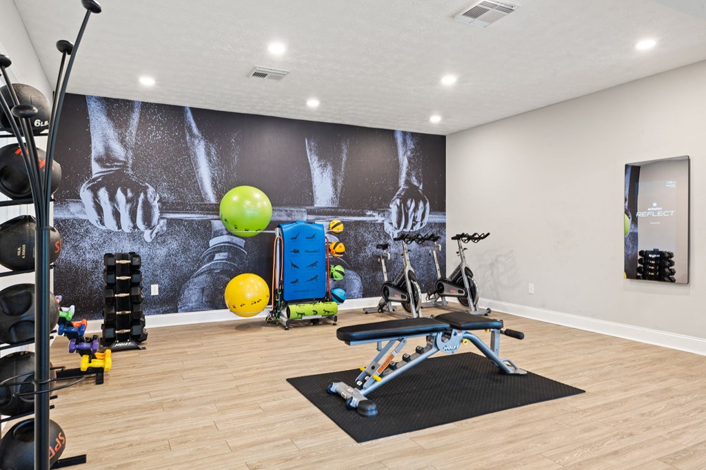 Echelon Fitness Mirror