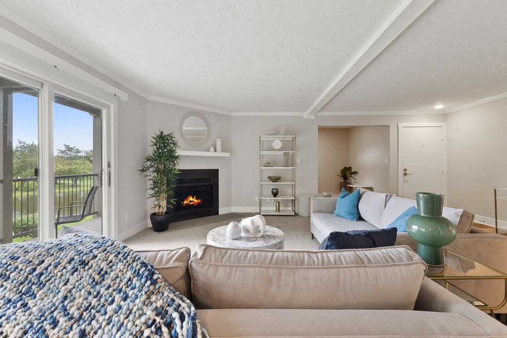 Wood Bruning Fireplace