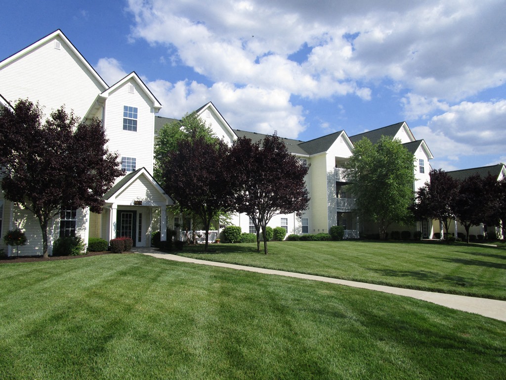 Enjoy All The Green Space