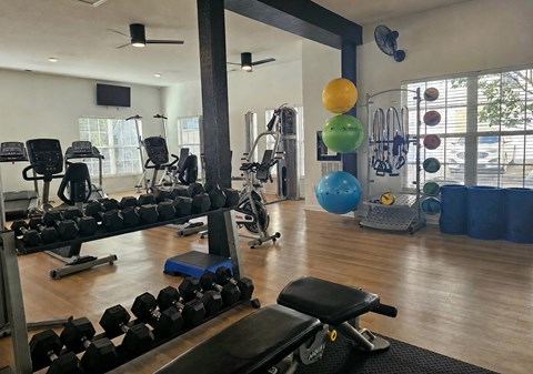 A gym with a variety of equipment including dumbbells, weight machines, and a bench press.