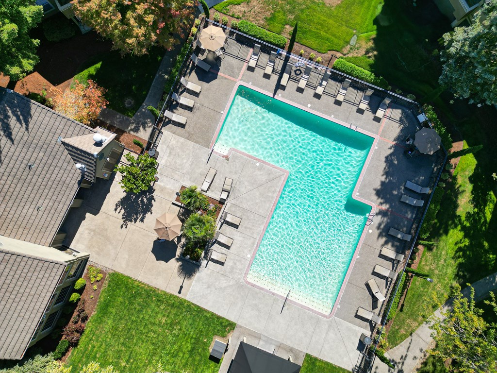 an aerial view of a swimming pool in a backyard