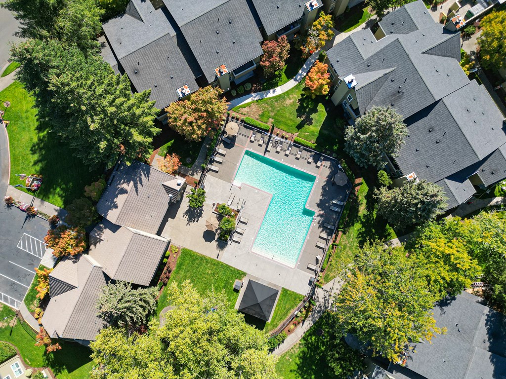 arial view of a swimming pool in a neighborhood with houses and trees