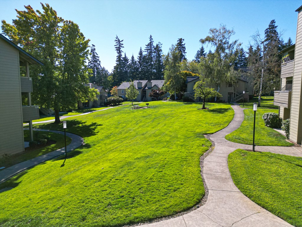 a grassy area with houses and trees