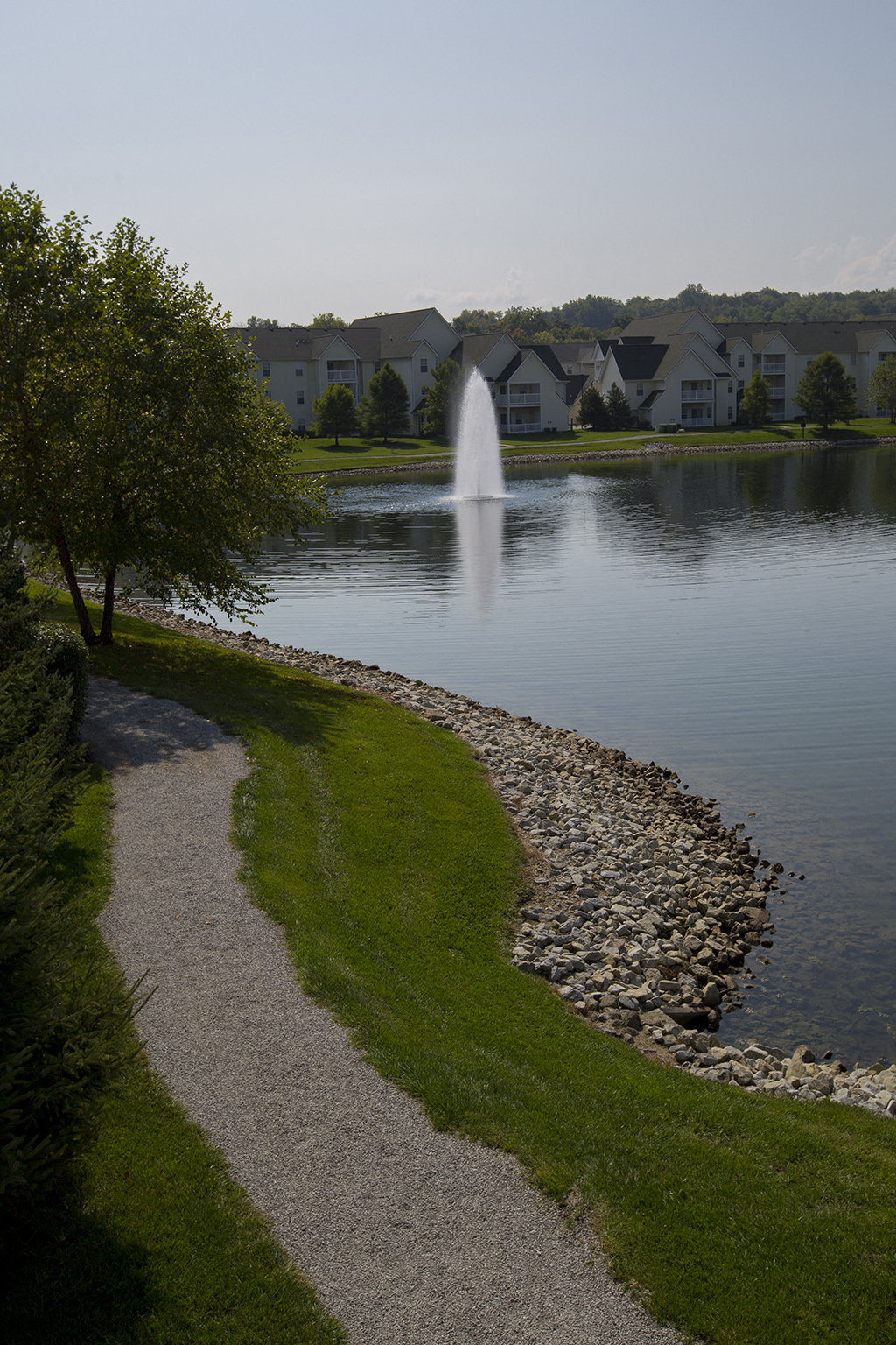Scenic Walking Trails