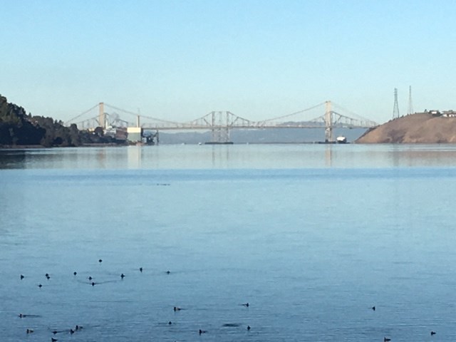 Club Pacifica Apartments