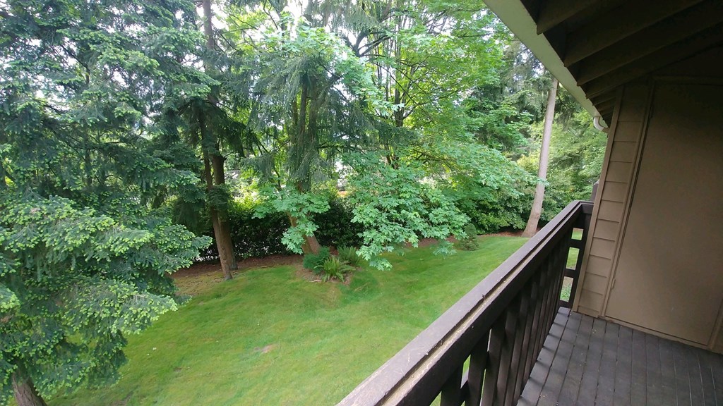 Balcony View Green Space