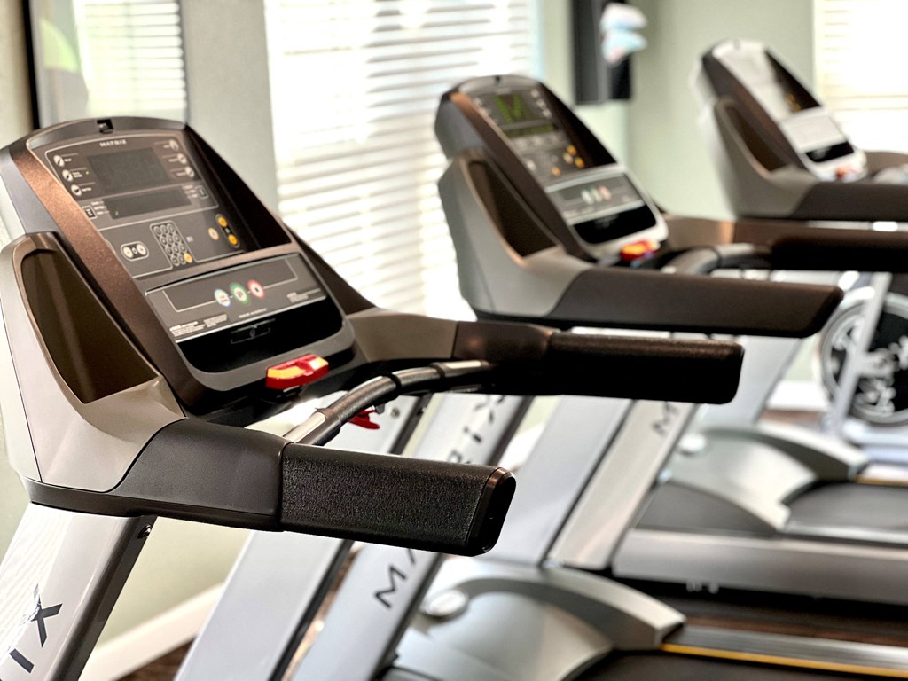 a row of treadmills in a gym