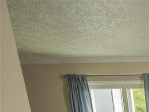 Floor to Ceiling Light