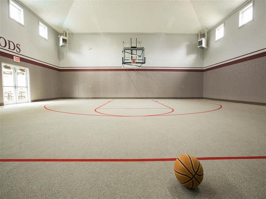 Indoor Basketball