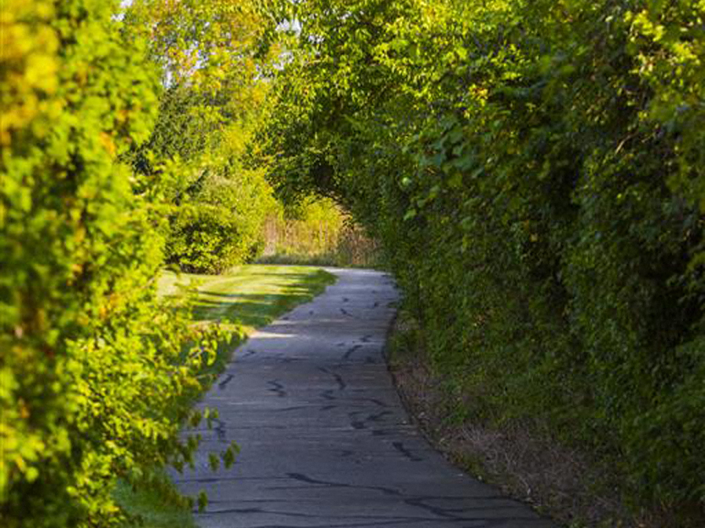 Walking Trails