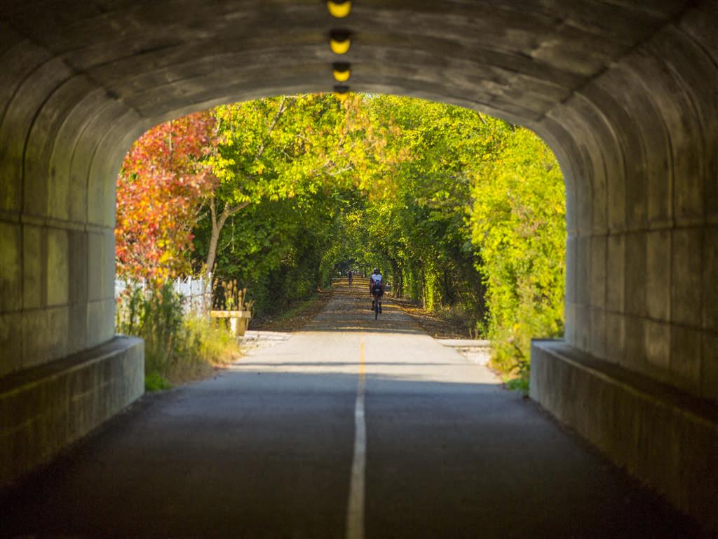 Enjoy All Seasons at The Retreat at Carmel