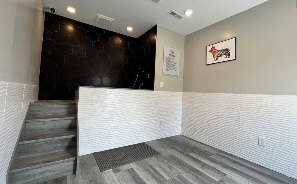 Wash and Dry Pet Spa