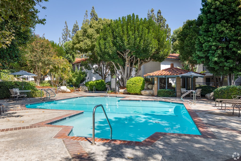 our apartments showcase an unique swimming pool