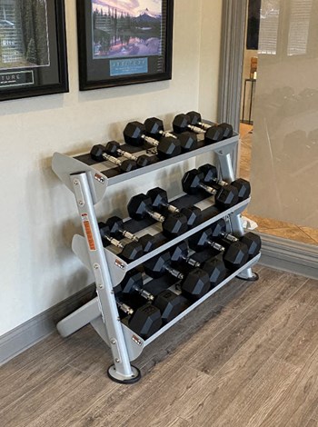Free Weights - Photo Gallery 21
