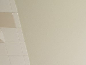 Double Vanity Master Bath